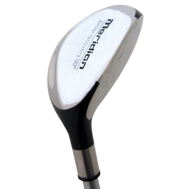 Meridian junior hybrid